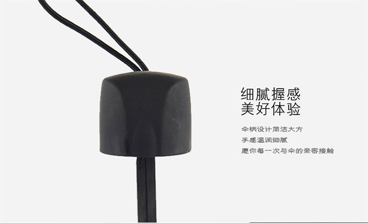 斑马_06