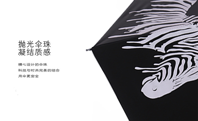 斑马_07