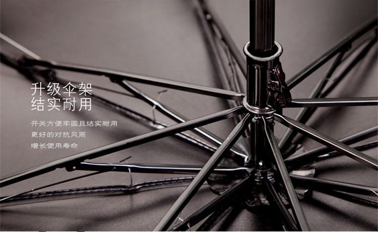 斑马_05