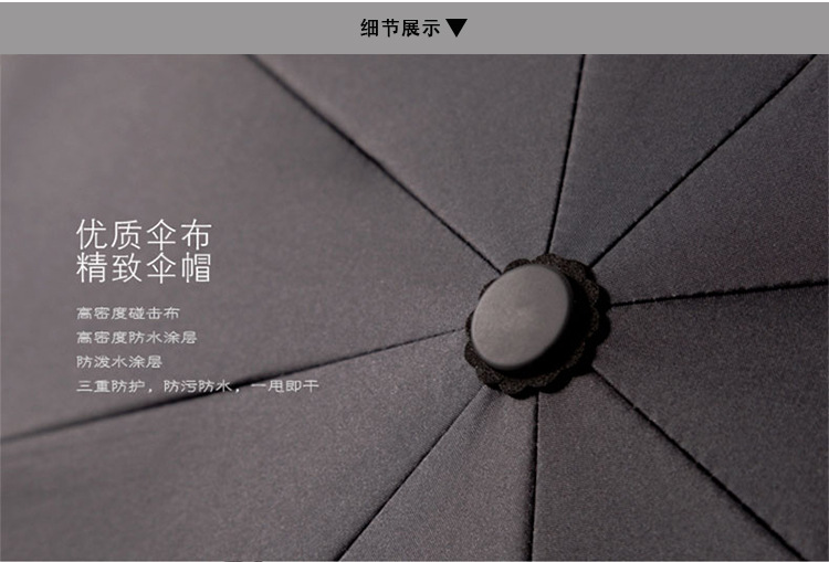 斑马_03
